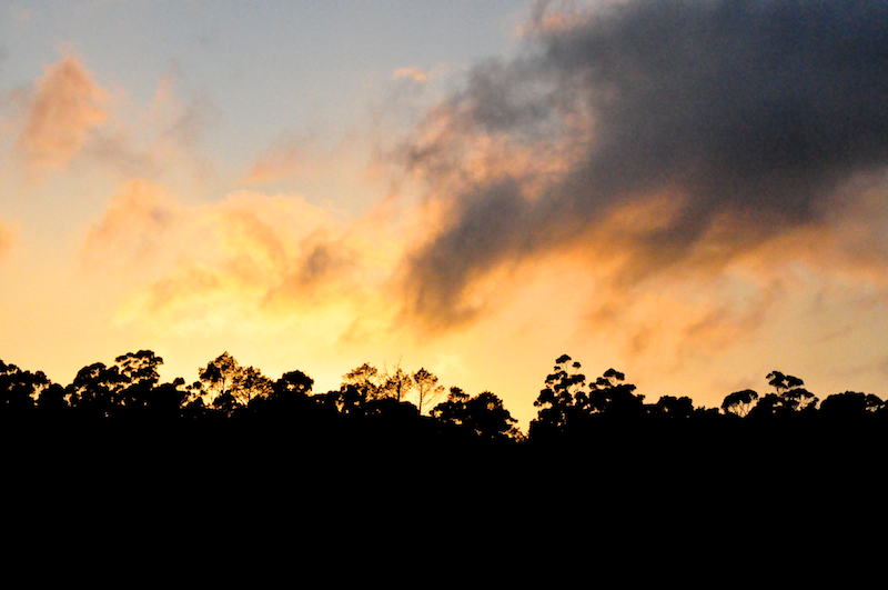 Melanie Heinrich Travel images Capetown -Shark diving Africa